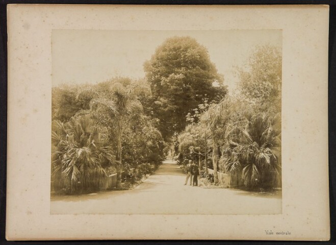 Anteprima dell'oggetto