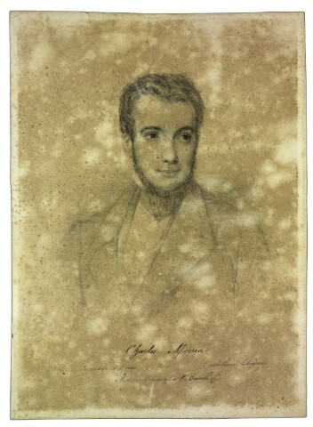 Anteprima dell'oggetto