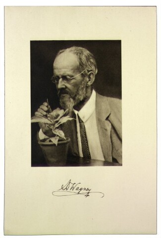 Anteprima dell'oggetto