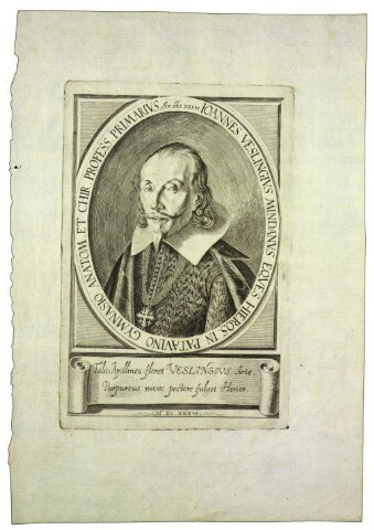 Anteprima dell'oggetto