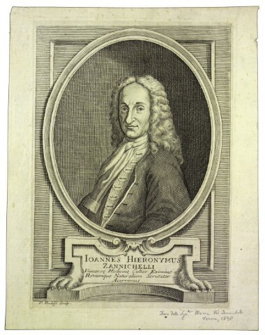 Anteprima dell'oggetto