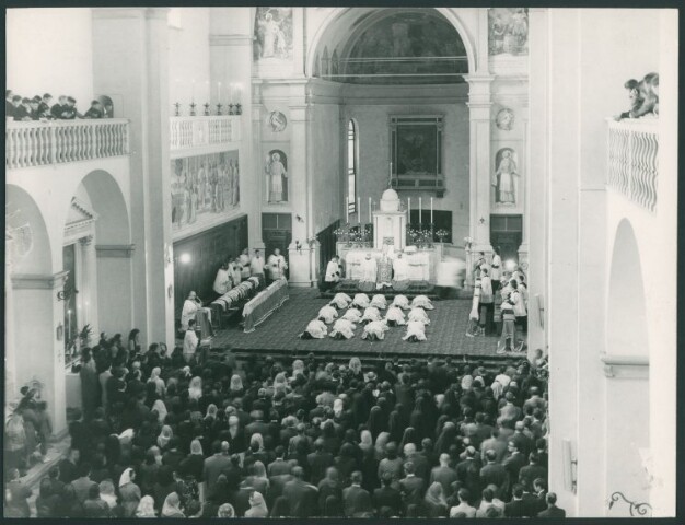 Anteprima dell'oggetto