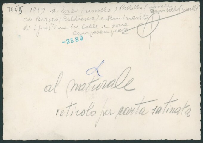 Anteprima dell'oggetto