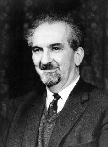 Anteprima dell'oggetto