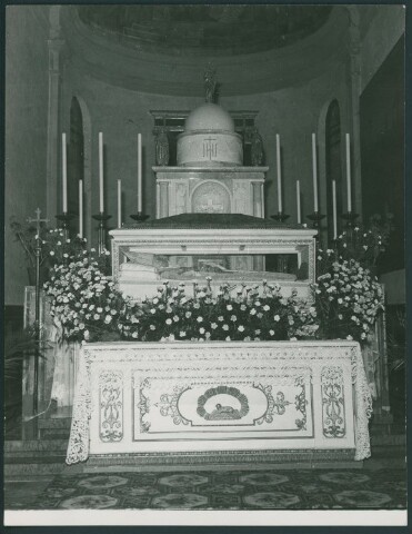 Anteprima dell'oggetto