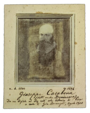 Anteprima dell'oggetto