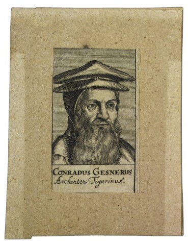 Anteprima dell'oggetto