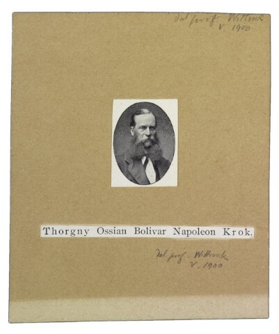 Anteprima dell'oggetto