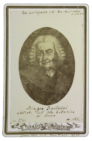 Anteprima dell'oggetto