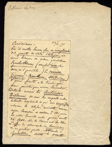 Anteprima dell'oggetto