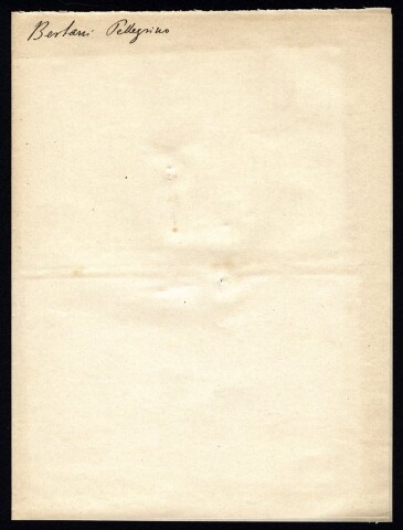 Anteprima dell'oggetto