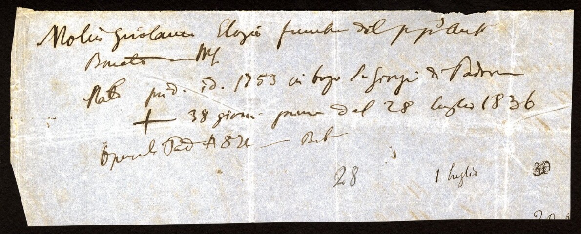 Anteprima dell'oggetto