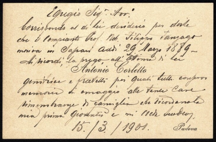 Anteprima dell'oggetto