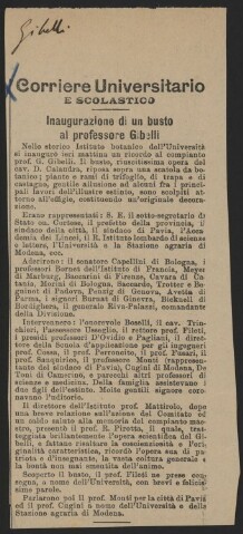 Anteprima dell'oggetto