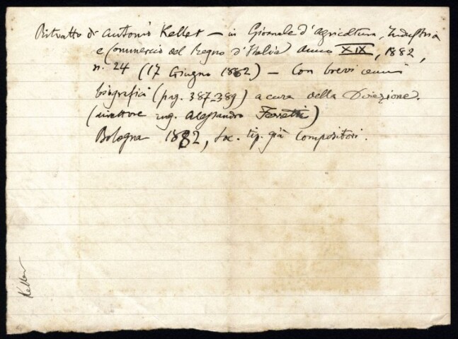 Anteprima dell'oggetto