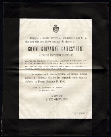 Anteprima dell'oggetto