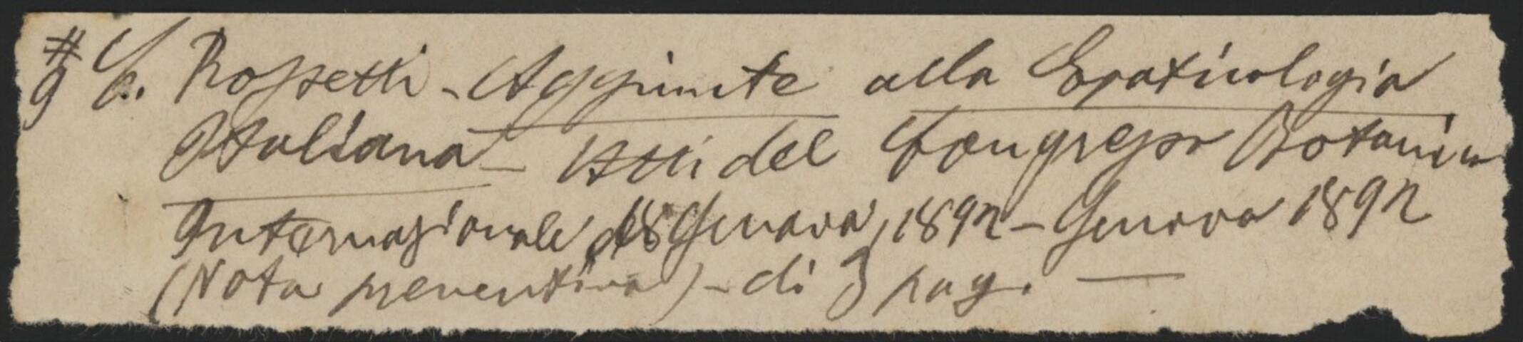 Anteprima dell'oggetto