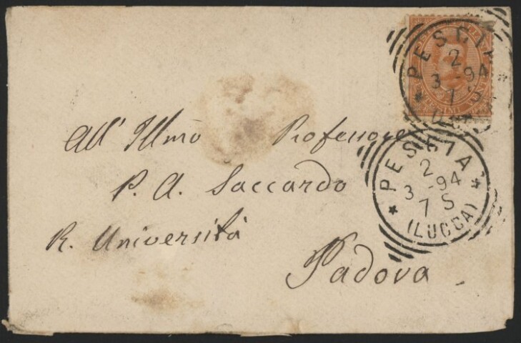 Anteprima dell'oggetto