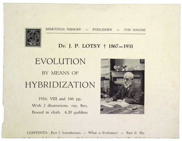 Anteprima dell'oggetto