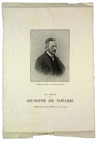 Anteprima dell'oggetto