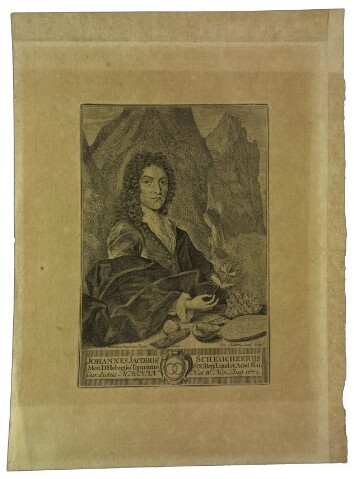 Anteprima dell'oggetto