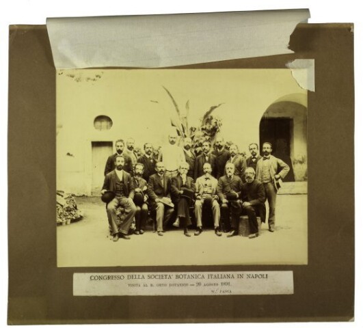 Anteprima dell'oggetto