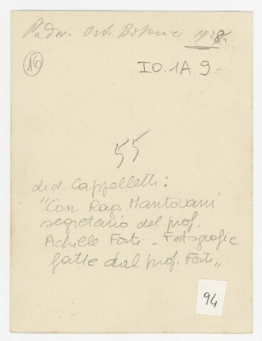 Anteprima dell'oggetto