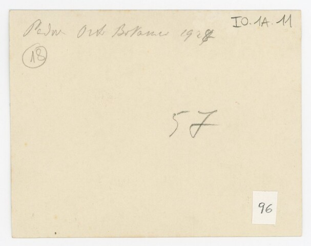 Anteprima dell'oggetto