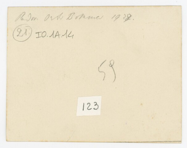 Anteprima dell'oggetto