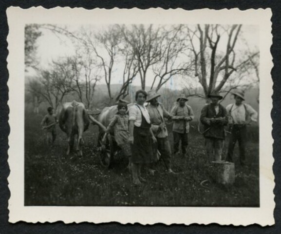 Anteprima dell'oggetto