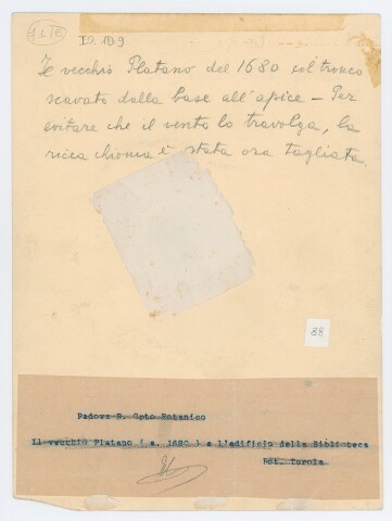 Anteprima dell'oggetto