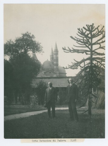 Anteprima dell'oggetto