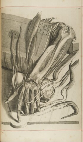 Anteprima dell'oggetto