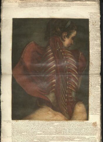 Anteprima dell'oggetto