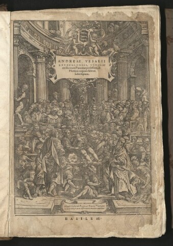 Anteprima dell'oggetto