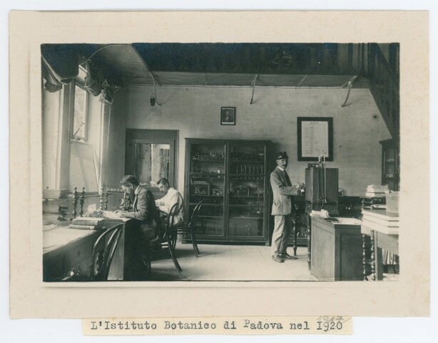 Anteprima dell'oggetto