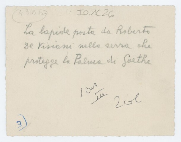 Anteprima dell'oggetto