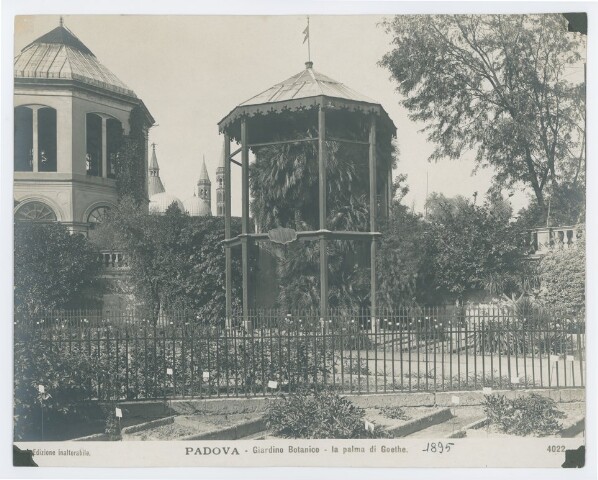 Anteprima dell'oggetto