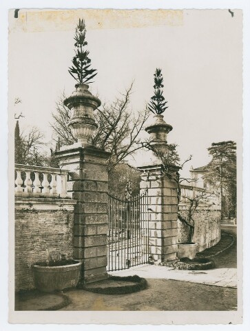 Anteprima dell'oggetto