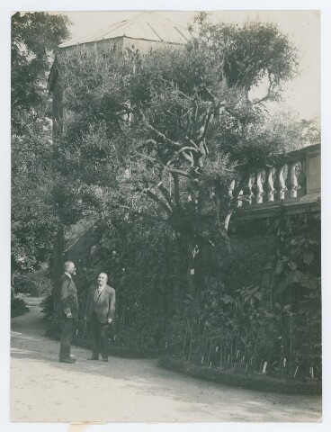 Anteprima dell'oggetto