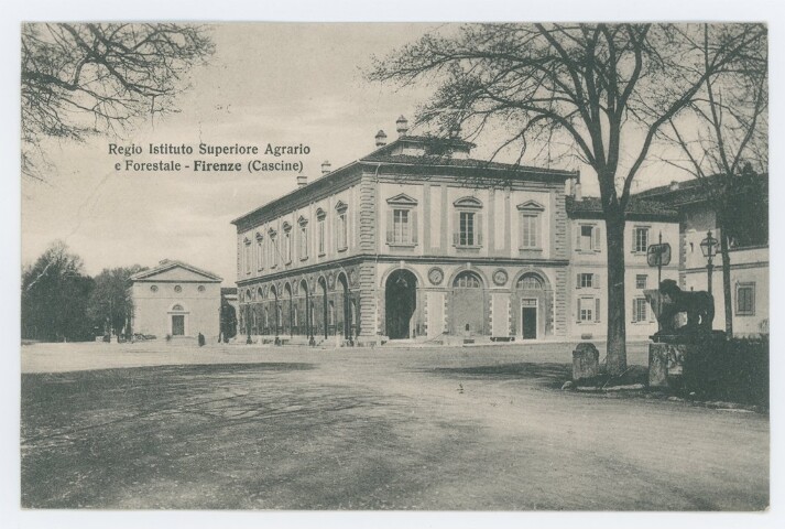 Anteprima dell'oggetto