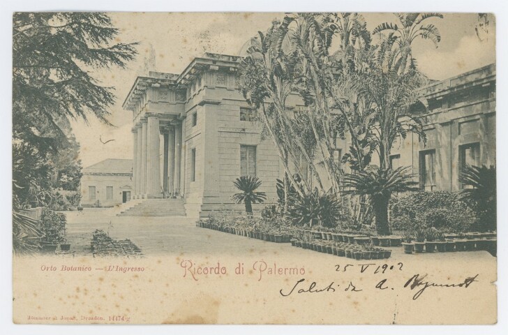 Anteprima dell'oggetto