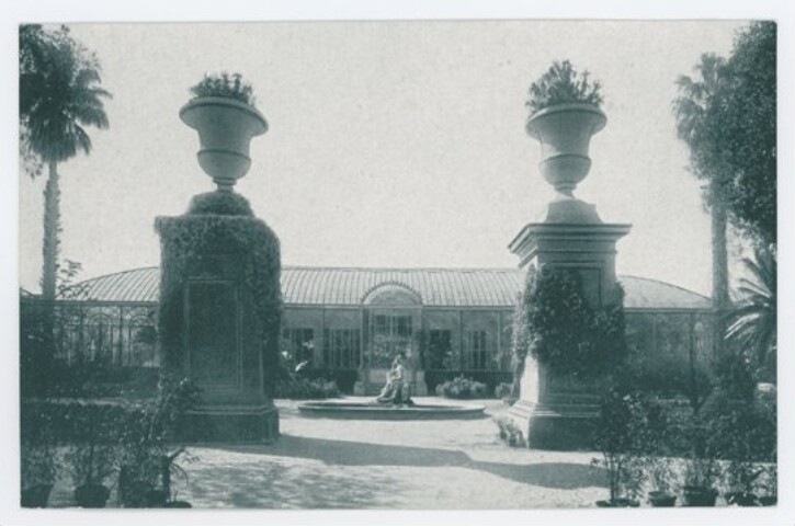 Anteprima dell'oggetto