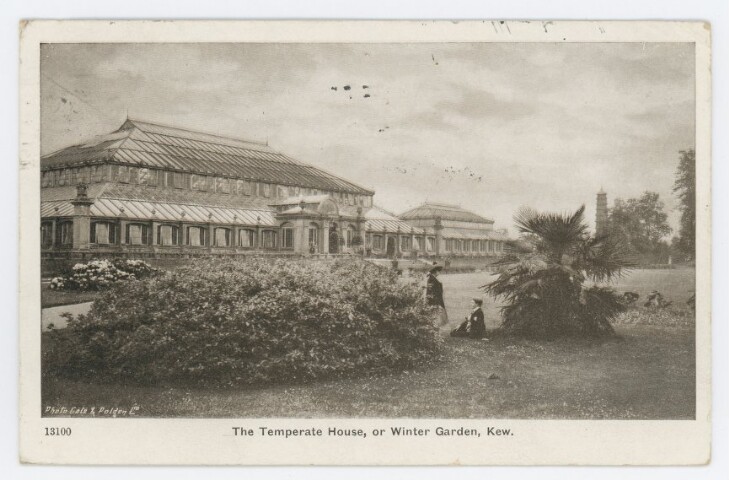 Anteprima dell'oggetto