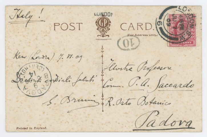 Anteprima dell'oggetto