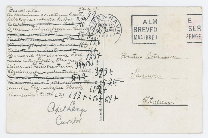 Anteprima dell'oggetto