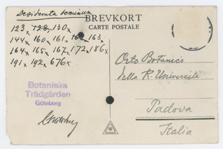 Anteprima dell'oggetto