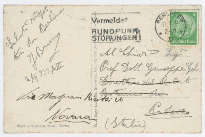 Anteprima dell'oggetto