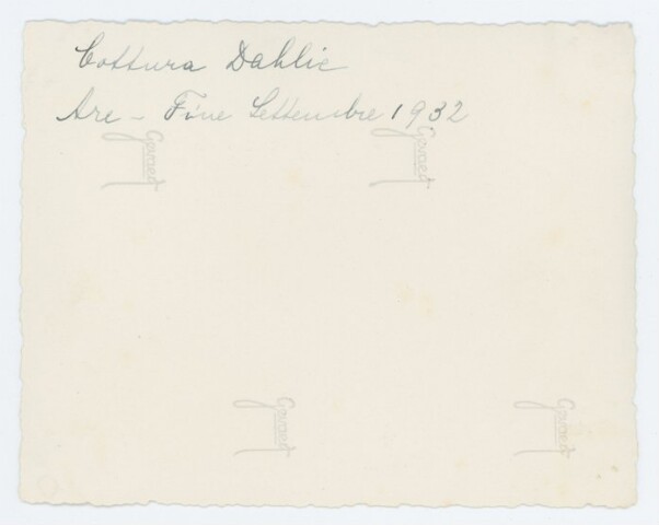 Anteprima dell'oggetto