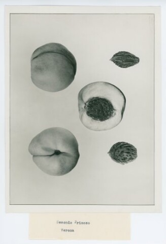 Anteprima dell'oggetto